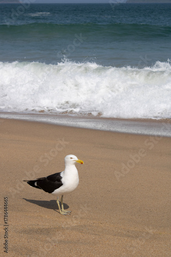 A tranquilidade do mar
