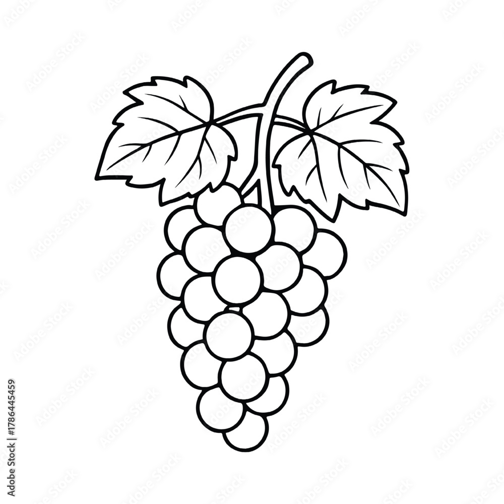 Fototapeta premium Grape Vine Cluster Coloring Page Black Outline