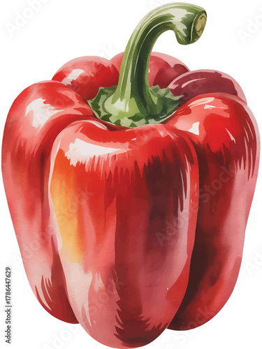 red bell pepper fresh, isolated, healthy cooking item