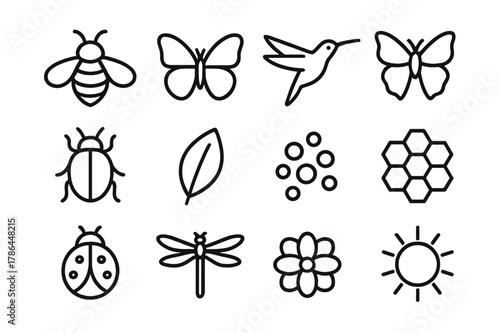 Ecosystem Pollinator Icon Set. Ecosystem pollinators. Line outline icon set of ecosystem pollinators: bee,