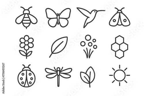 Ecosystem Pollinator Icon Set. Ecosystem pollinators. Line outline icon set of ecosystem pollinators: bee,
