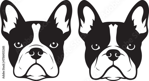 Two identical black and white french bulldog faces silhouette