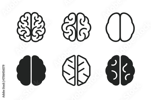 Brain Logo Variations. Knowledge. Set Logo of Knowledge: Brain. harmonious logo variations of the same emblematic concept, each with different artistic