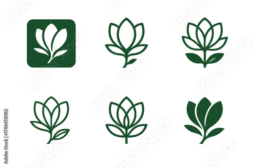 Magnolia Logo Variations. Flowering plants. Set Logo of Flowering plants: magnolia flower. Icon set. harmonious logo variations of the same emblematic concept,