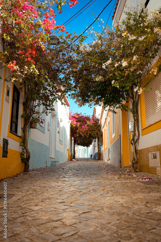 Fototapeta premium Colourful Cobblestone Alley with Blooming Bougainvillea and Traditional Houses – Sunny Mediterranean Street Scene