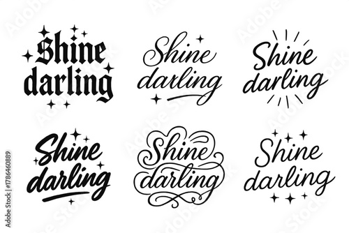 Calligraphy Styles Grid. Shine darling. Create a calligraphy lettering illustration of the phrase: Shine