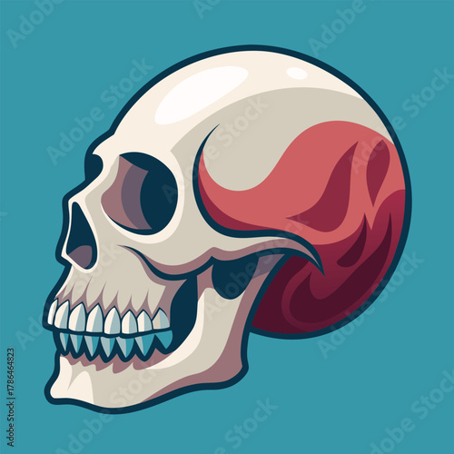 Anatomical illustration of a human skull with muscle detail