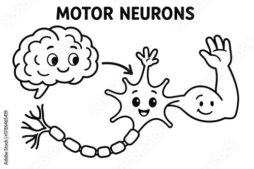 Cheerful Neuron Coloring Page. Motor neurons children?s coloring book illustration, outlined drawing, a cheerful neuron sending a signal from a brain to a