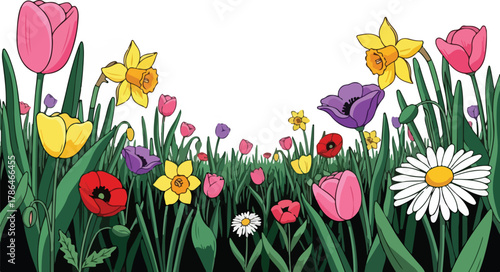 Vibrant Spring Flower Border Illustration with Tulips Daffodils and Daisies on White Background