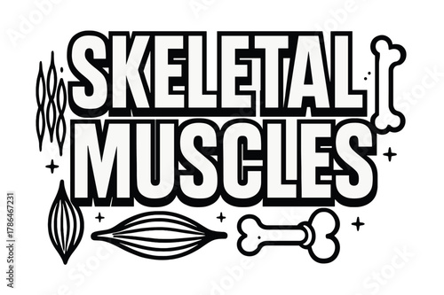 Skeletal Muscle Typography. Bold Block Lettering ? "Skeletal Muscles" in massive bold geometric letters, stacked block composition, heavy outlines with subtle