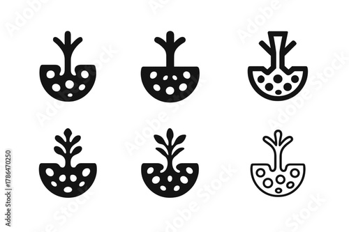 Bone Healing Icons. How bones heal after an injury. Icon set. Set Logo of How bones heal after an injury: osteoblast and bone tissue structure. harmonious logo