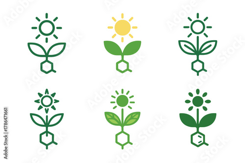 Photosynthesis Logos Grid. How plants make their food. Icon set. Set Logo of how plants make their food: sunlight-to-glucose conversion diagram. harmonious