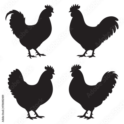 Rooster and Hen Outline Set | Poultry Silhouette Vector | Editable Farm Design
