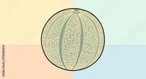 Illustration Of A Muskmelon Fruit With Unique Graphic Style And Colorful Background