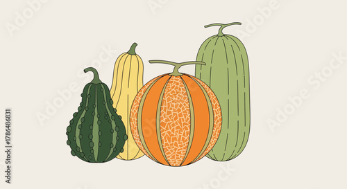 Illustration Of Assorted Gourds And Melons In An Abstract And Minimalist Style