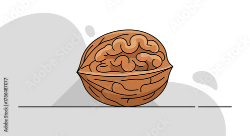 Illustration Of Walnut Showing The Brain inside Conceptualising Thought Process