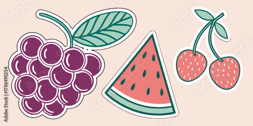 illustration of fruit stickers including grapes, watermelon, and cherries illustration design.