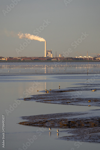 Ein sonniger Herbsttag im Nordseeheilbad Dangast mit Seehund