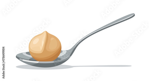 Single Hazelnut Resting On a Silver Spoon, Isolated On White Background