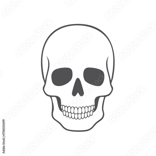 Human Skull With Dark Eye Sockets And Teeth Illustration