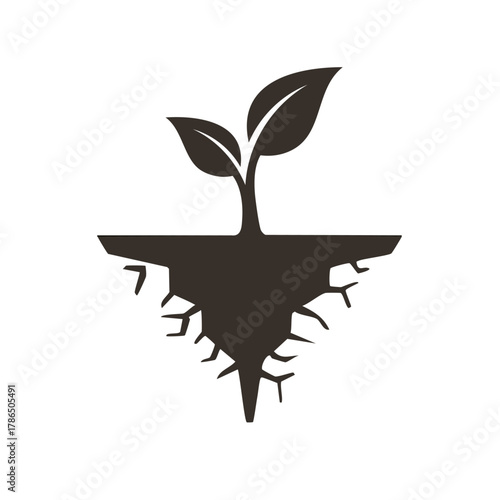 Silhouette of a Young Plant Growing from Cracked Earth Isolated on White Background