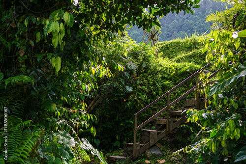 Sidemen Rice Fields Bali