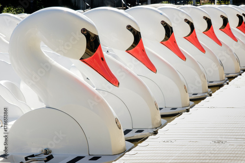 Swan boats lined up along a pier