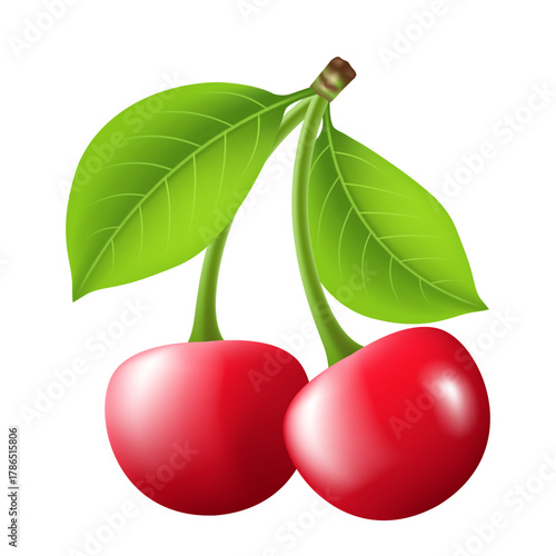 Cherry. Vector 3d clipart isolated on white background.