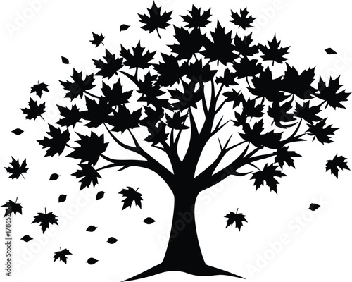 Autumn Maple Tree with Falling Leaves Silhouette, Maple Tree Silhouette in Autumn Breeze