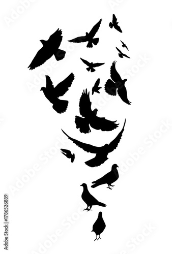 Flying pigeons birds silhouettes on white background. Vector illustration. isolated bird flying. tattoo design.