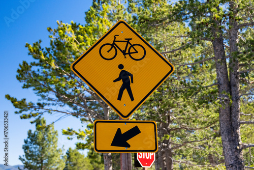 Yellow diamond-shaped warning sign featuring black bicycle and pedestrian icons stands above a smaller black arrow pointing left, mounted on a metal pole against a backdrop of tall pine trees.