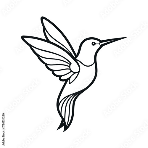 Hummingbird Outline Vector Design