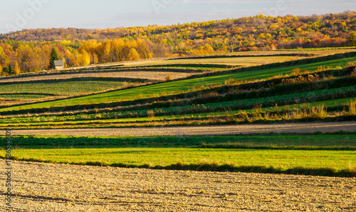 An autumn agricultural landscape.  The gentle undulation of the fields adds a calm and harmonious character to the scene.  Roztocze. Lublin Voivodeship. Poland.