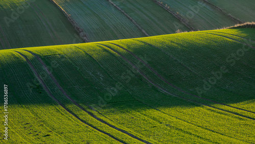 Green fields in  agricultural landscape. Roztocze. Lublin Voivodeship. Poland.