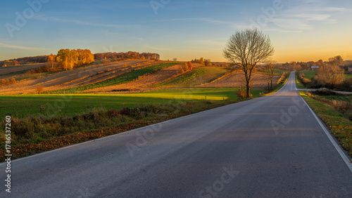 Scenic rural road lined with golden autumn trees and green fields . A peaceful rural road stretches through vibrant autumn landscapes. Roztocze. Lublin Voivodeship. Poland.