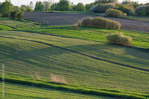 An agricultural landscape in spring. Green, rolling hills reveal vibrant fields and trees in a tranquil landscape in daylight.  Roztocze, Lublin Voivodeship, Poland, Europe.