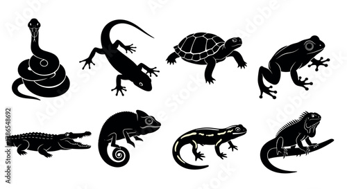 Black silhouette icons of various reptiles and amphibians, including a snake, lizard, turtle, frog, crocodile, chameleon, salamander, and iguana.