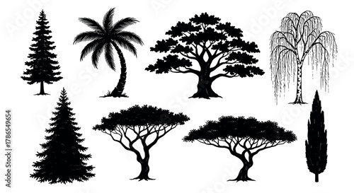Black silhouette set of various tree species, including palm, pine, willow, and broadleaf trees, showcasing diverse shapes and foliage types.