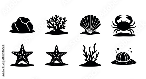 Silhouette icons of marine life featuring a rock, coral, scallop shell, crab, starfish, and sea urchin in a simple black design.