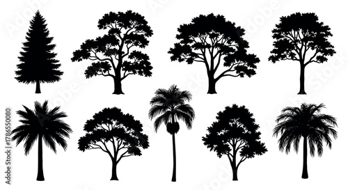 Black silhouette illustrations of various tree species including pine, oak, and palm, showcasing diverse foliage patterns and shapes.
