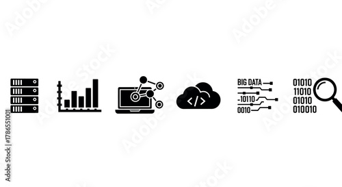 Black and white icons depicting data storage servers, bar graph analytics, a networked laptop, cloud computing, big data processing, and magnifying glass analysis.