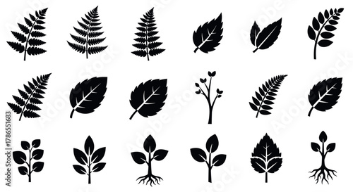 Black silhouette icons of various leaf shapes and plant sprigs, showcasing diverse botanical designs in a simple, flat style for nature and gardening themes.