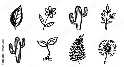 A collection of eight black outline drawings featuring various plants, including cacti, leaves, a flower, and a dandelion, emphasizing nature and botanical diversity.
