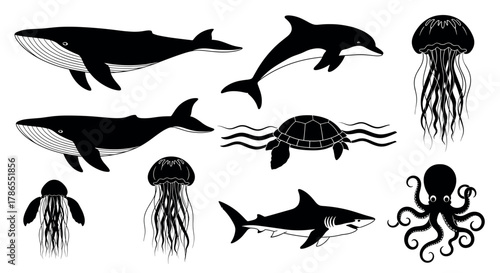 Black silhouette illustrations of marine animals including whales, a dolphin, a turtle, jellyfish, a shark, and an octopus.