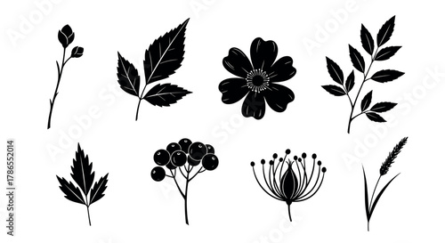 Black silhouette vector icons of various plants and flowers with leaves, including a flower with petals, leafy stems, berries, and a grass blade.