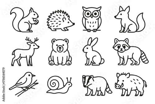 Deer badger icons snail raccoon branch autumn vector owl rabbit bear forest