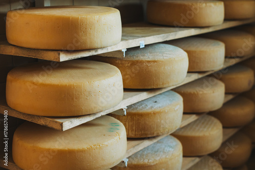 Heads of old cheese on a shelfs at a Italian cheese factory.