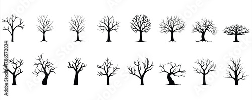 Bare Tree Silhouette Set