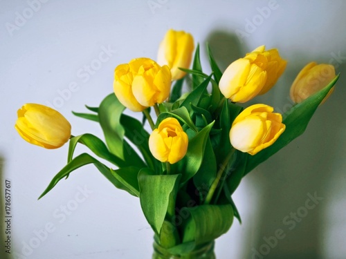 Fresh spring flowers for a special occasion. Focuses on the beauty of yellow tulips and the celebration of women, new life, and the beginning of the season