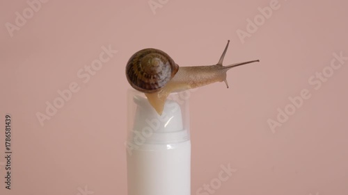 Video. Cosmetic bottle with snail on it. Spa, naturale, luxury, cosmetics product, jar of anti-aging cream